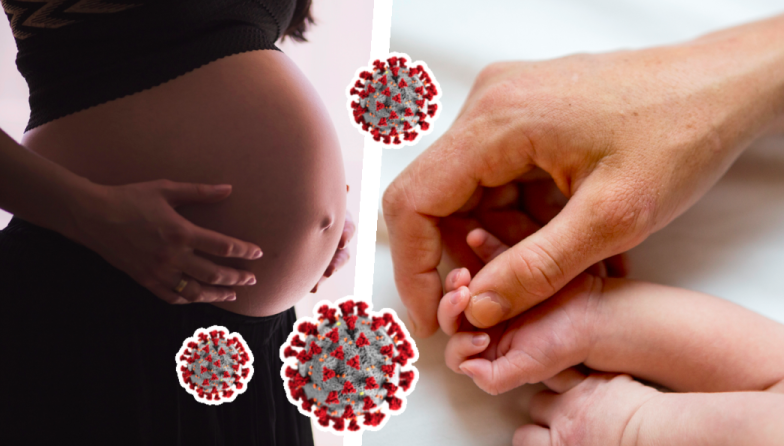 En ny studie har granskat hur coronaviruset påverkar gravida och nyfödda. 
